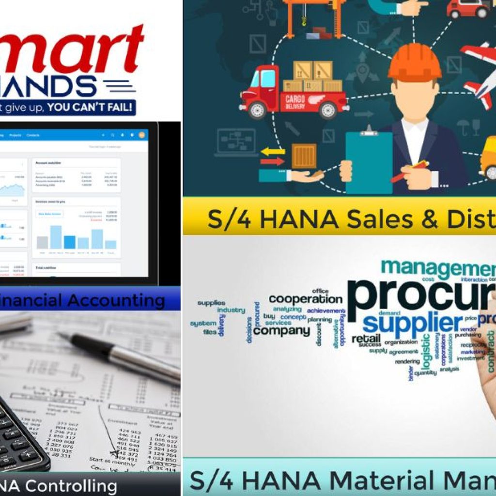 Certification Sap Fico | Thesmarthands.com Certification Sap Fico | Thesmarthands.com