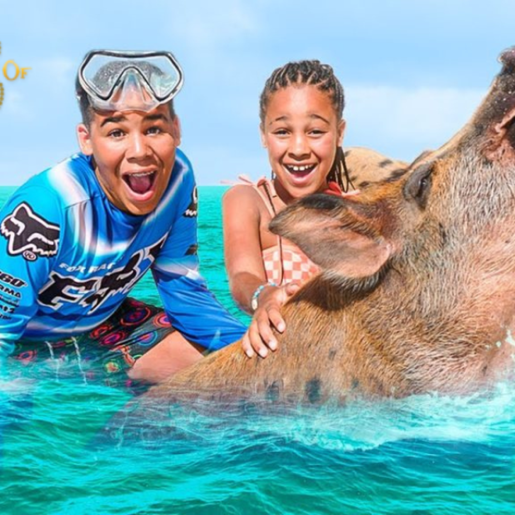 Explore the Calming Beauty of a Bahamas Pink-Sand Paradise Explore the Calming Beauty of a Bahamas Pink-Sand Paradise