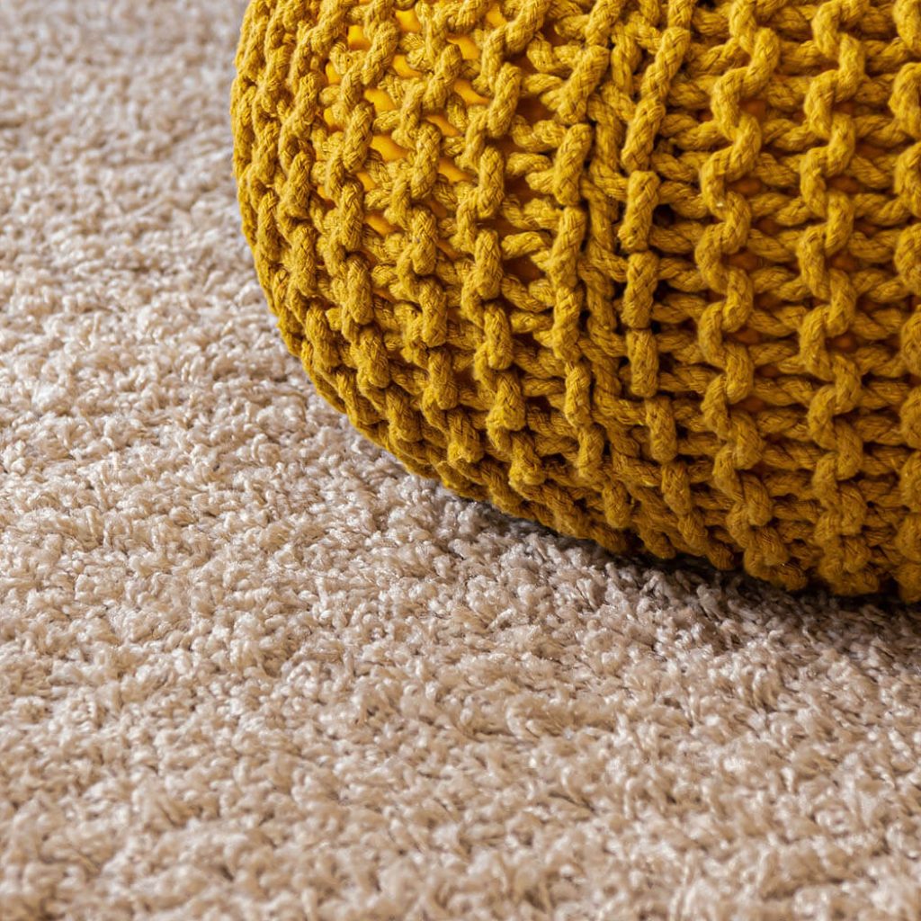 Trusted Cleaning Experts for Homes and Workspaces in NZ