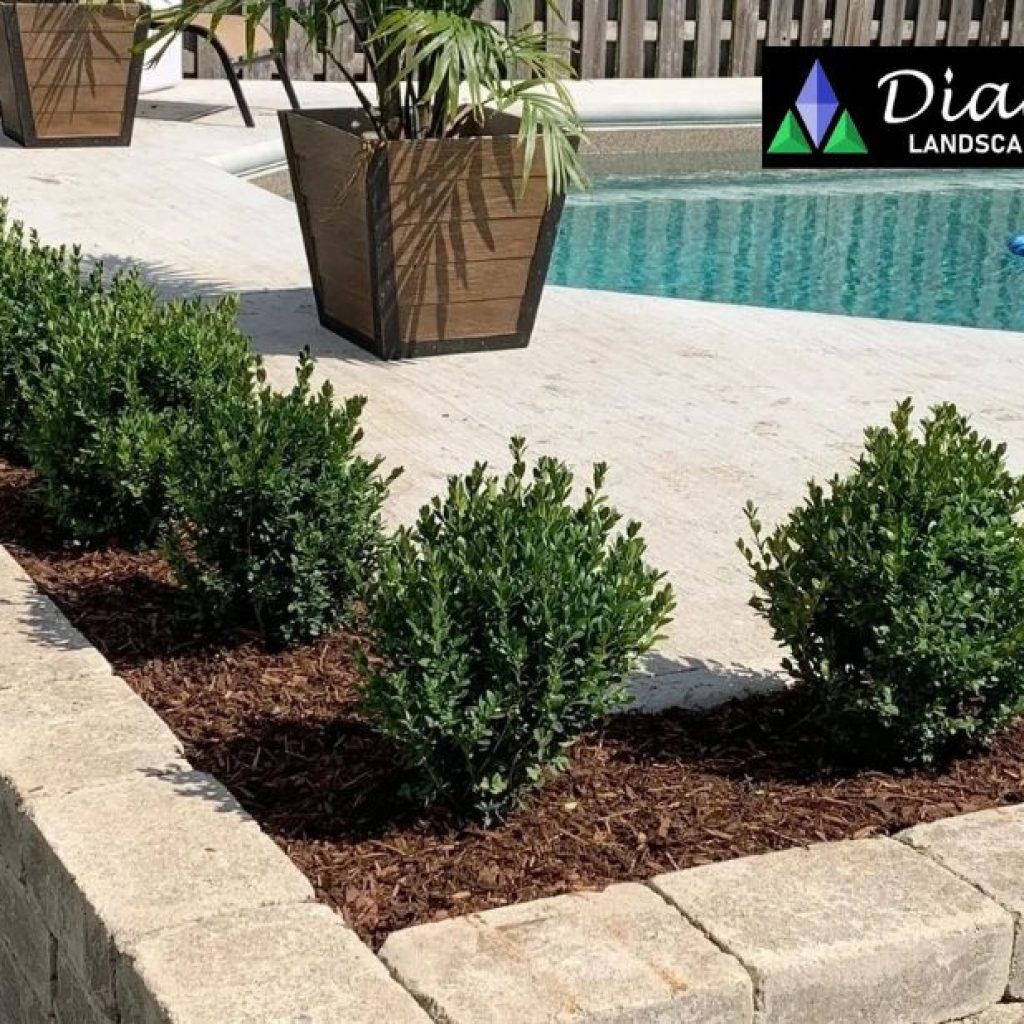 Transform Your Outdoor Oasis with Expert Pool Builds Transform Your Outdoor Oasis with Expert Pool Builds
