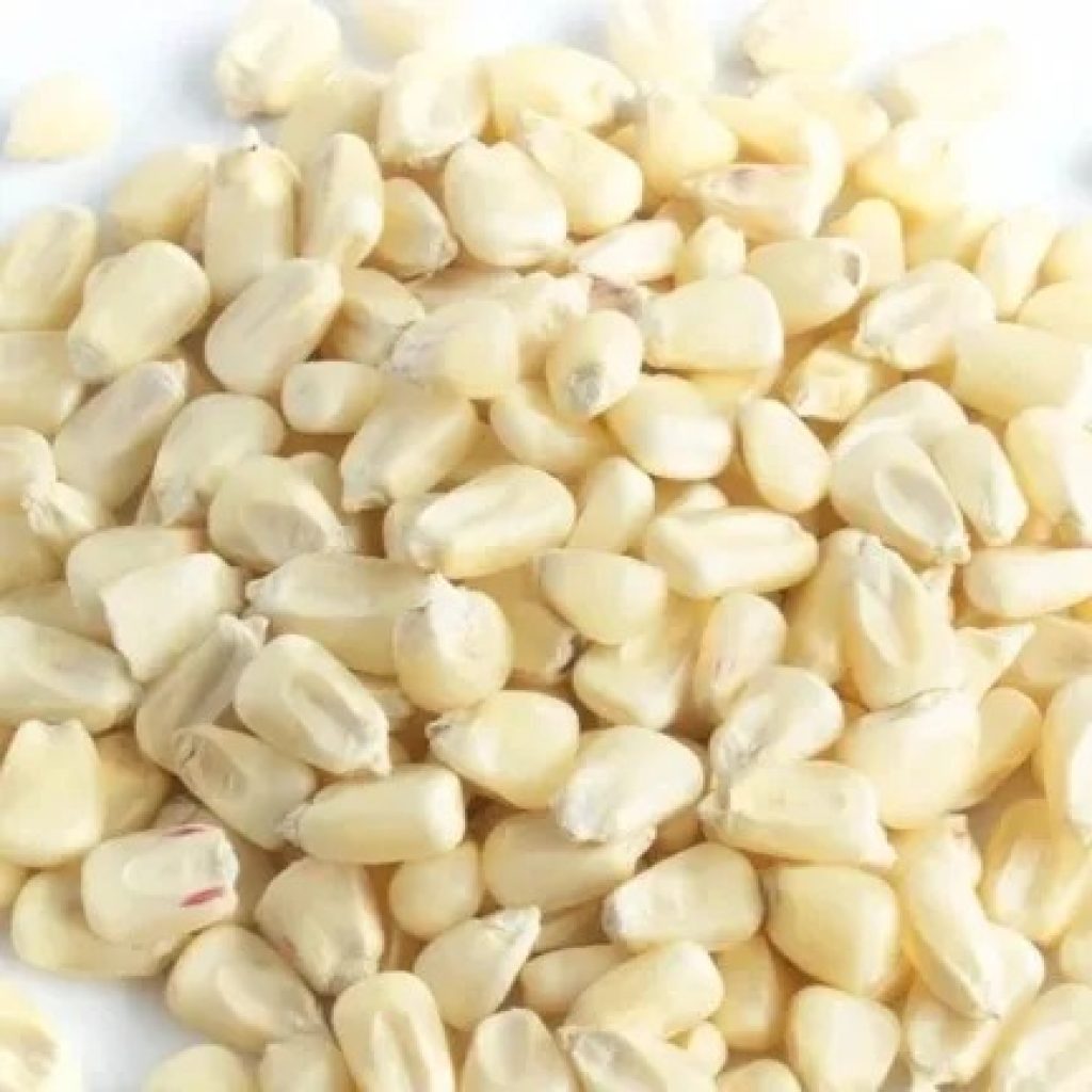 Njahi Beans Wholesale USA: Premium Kenyan Beans for UK Markets Njahi Beans Wholesale USA: Premium Kenyan Beans for UK Markets