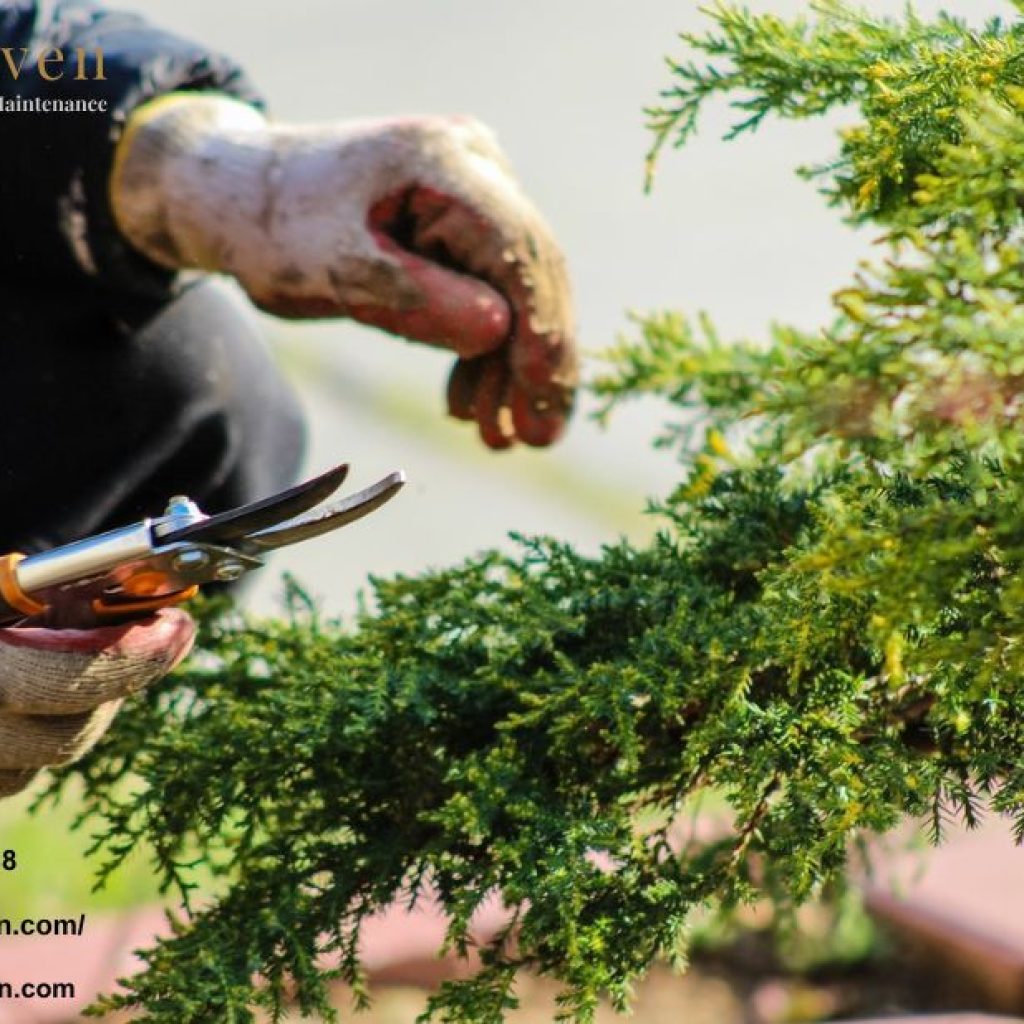 Transform Your Outdoor Space with Expert Landscape Gardeners in SW London