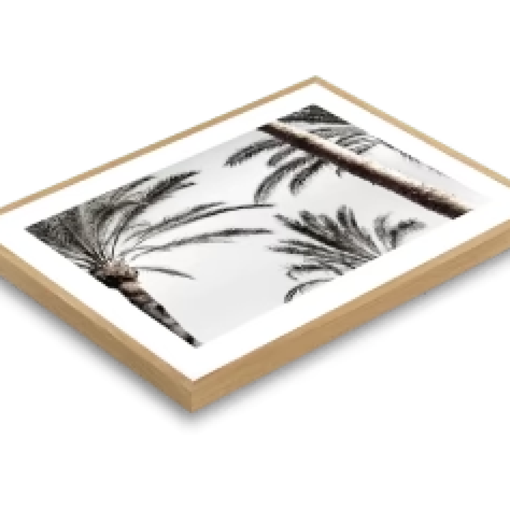 Coastal Canvas: Ocean-Inspired Wall Art for Your Home