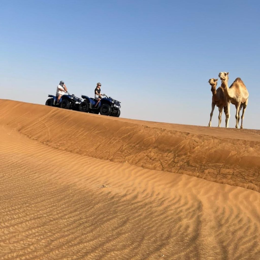 Desert Dune Buggies: An Unforgettable Safari Experience Desert Dune Buggies: An Unforgettable Safari Experience