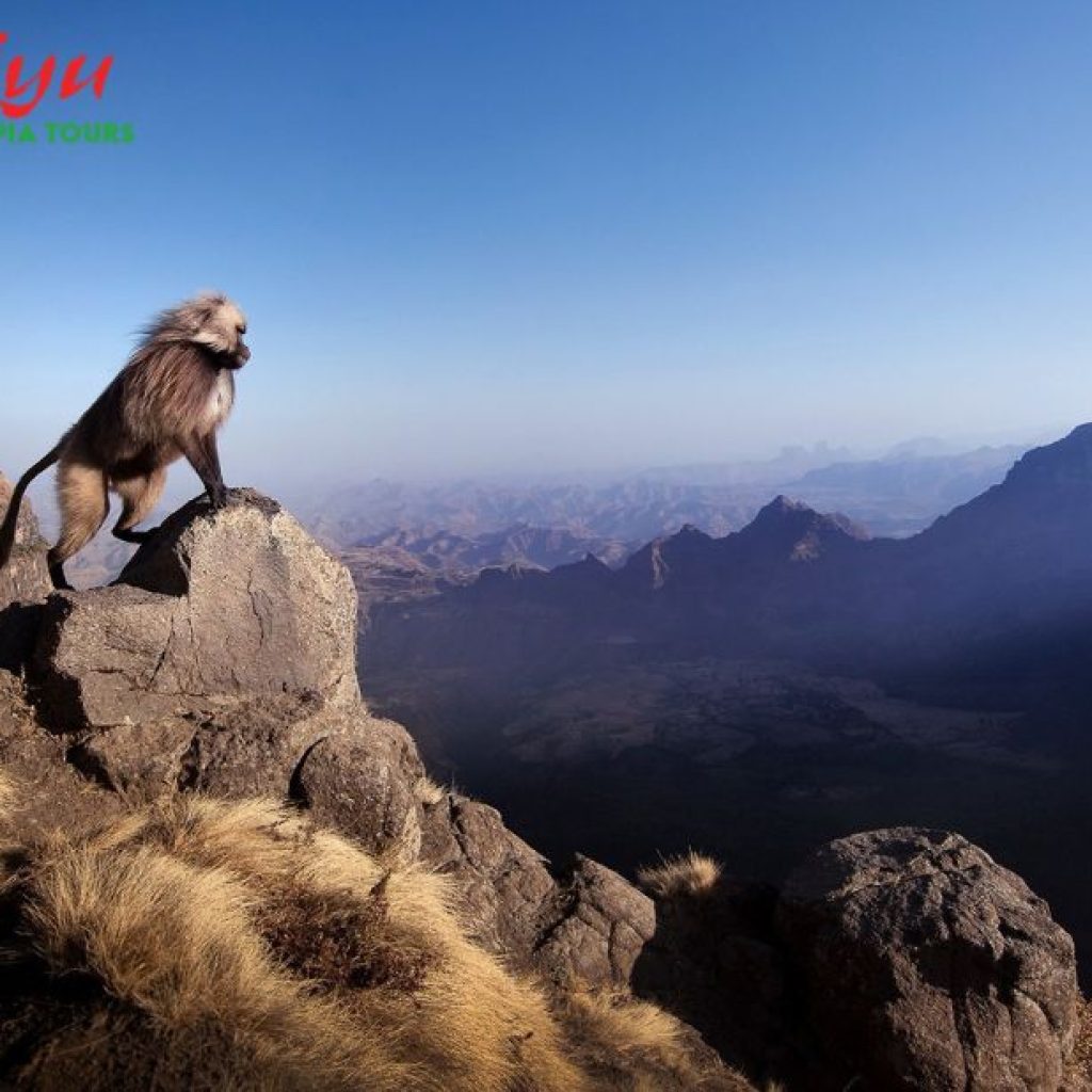 Experience Ethiopia: Guided Adventures, Cultural Journeys, and Hidden Treasures