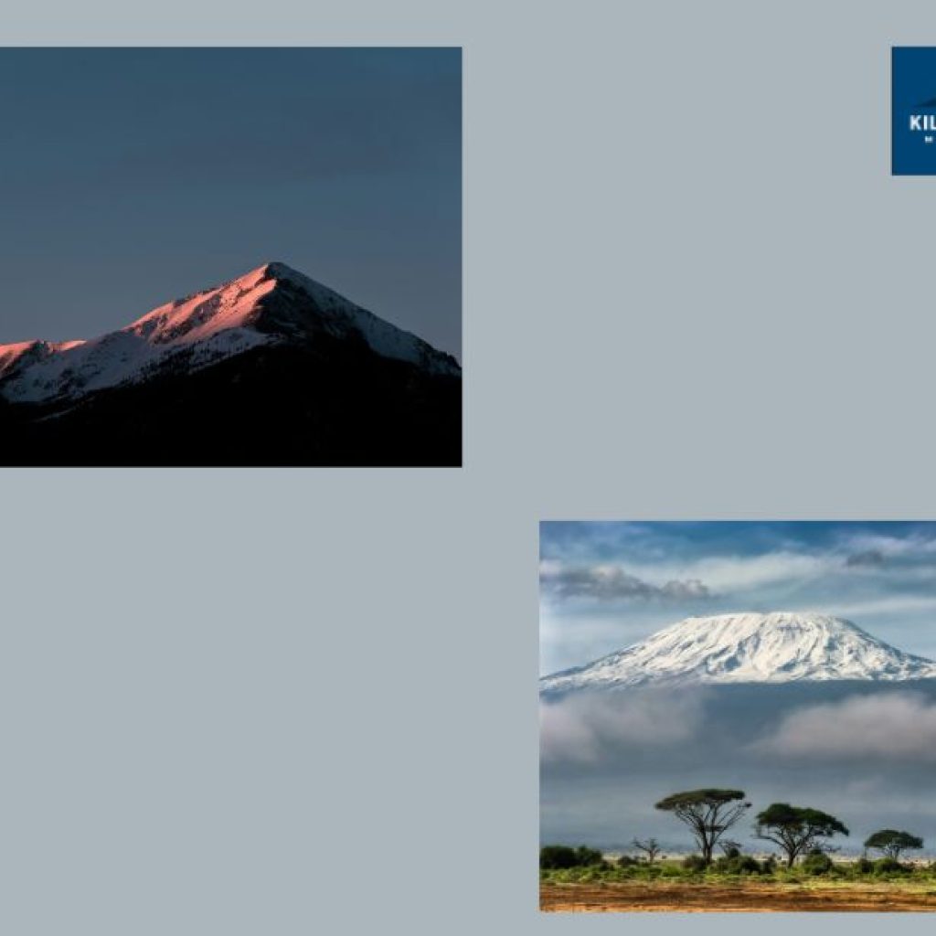 Climb Kilimanjaro: Essential tips for the Shira Route in a safe, efficient ascent Climb Kilimanjaro: Essential tips for the Shira Route in a safe, efficient ascent