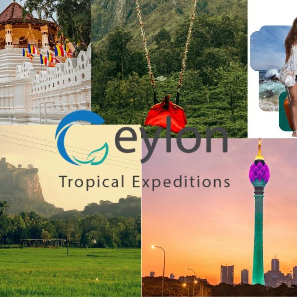 Discover Sri Lanka: Top Scenic Destinations and Hidden Gems Discover Sri Lanka: Top Scenic Destinations and Hidden Gems