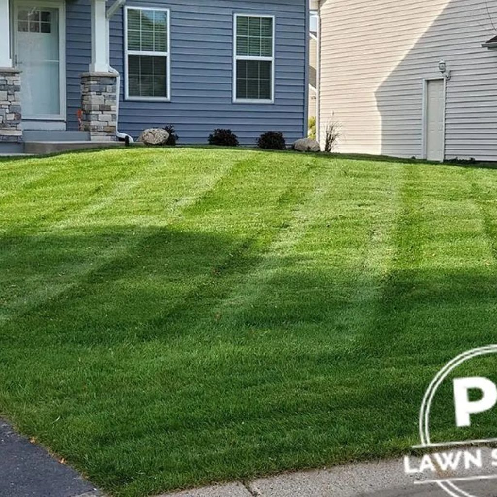 Lawn Care Solutions for Plymouth: Boost Growth and Control Weeds