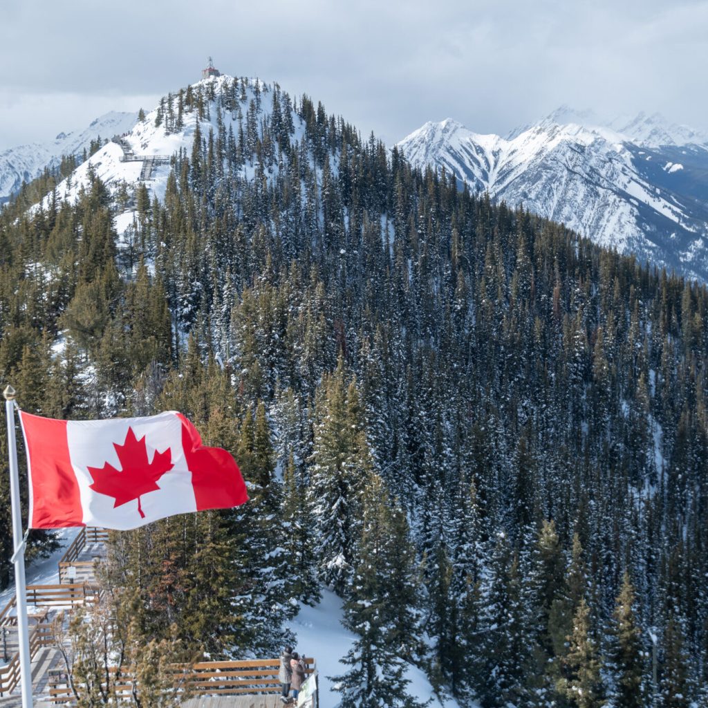Navigate Canadian asylum processes with expert legal guidance
