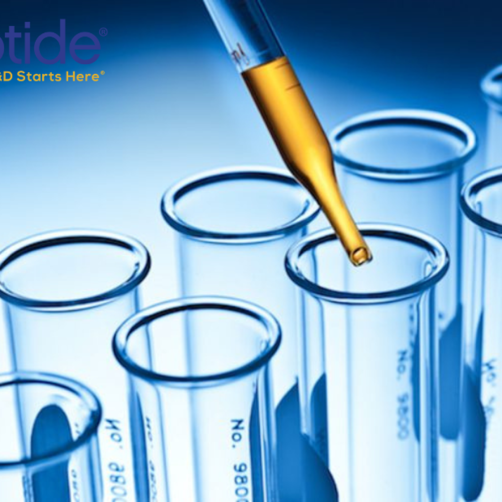High-Quality Alpha-Synuclein Antibody for Research High-Quality Alpha-Synuclein Antibody for Research