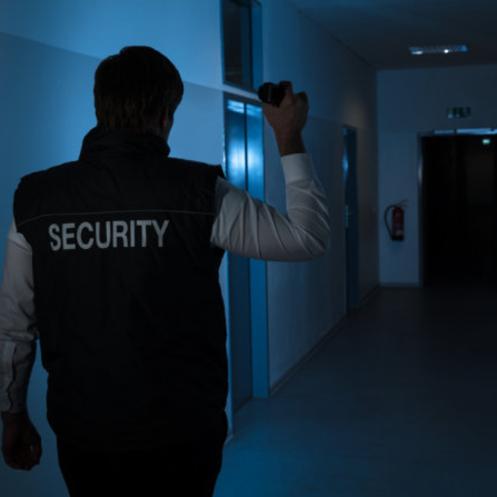 Professional Event Security for Every Occasion in the USA Professional Event Security for Every Occasion in the USA