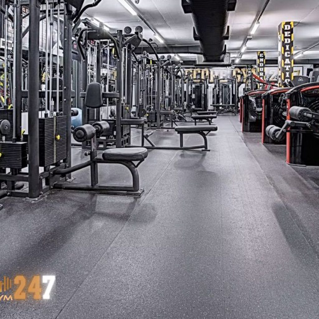 Sculpt Your Body at our Premier Bodybuilding Gym Sculpt Your Body at our Premier Bodybuilding Gym