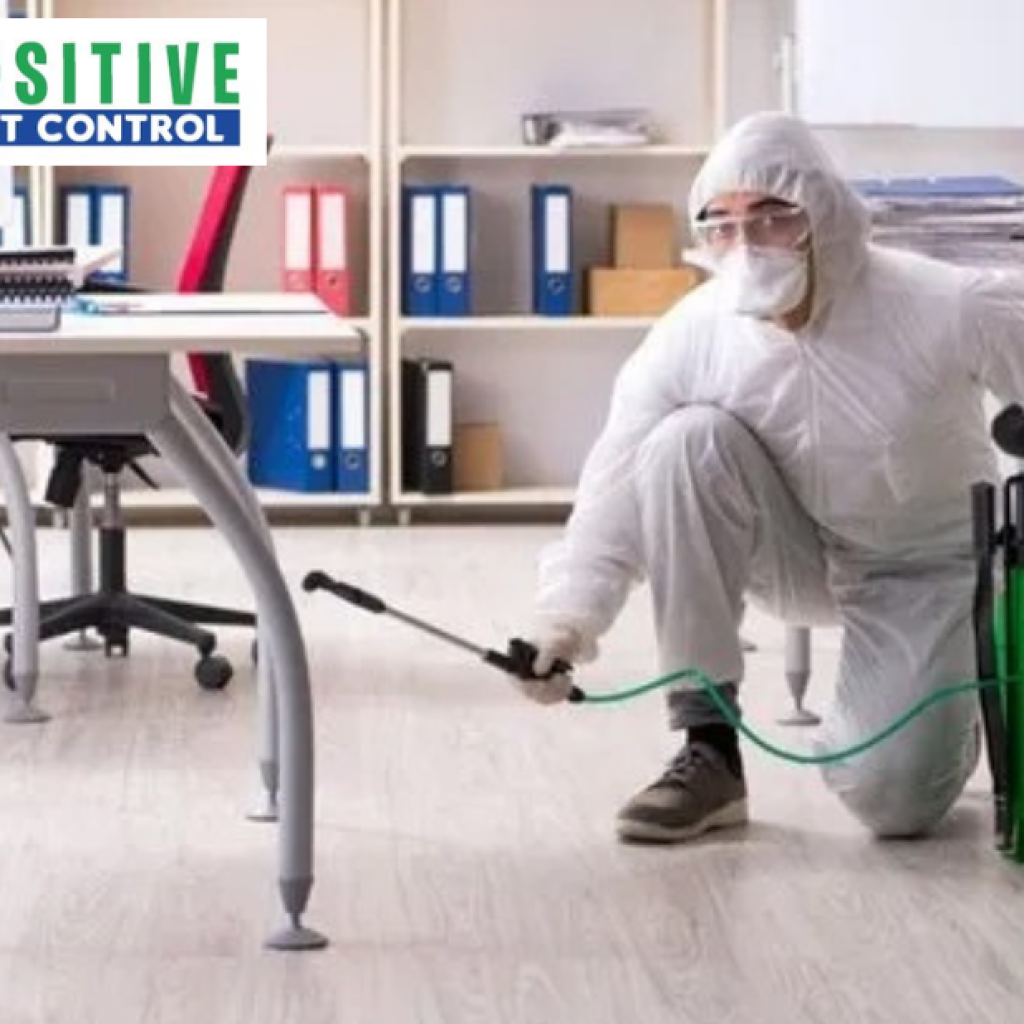 Effective Pest Solutions for Homes and Businesses in Calgary Area Effective Pest Solutions for Homes and Businesses in Calgary Area