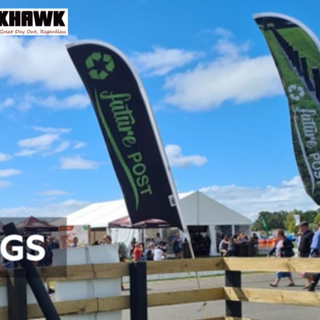 Discover Affordable Gazebos for Your Outdoor Space