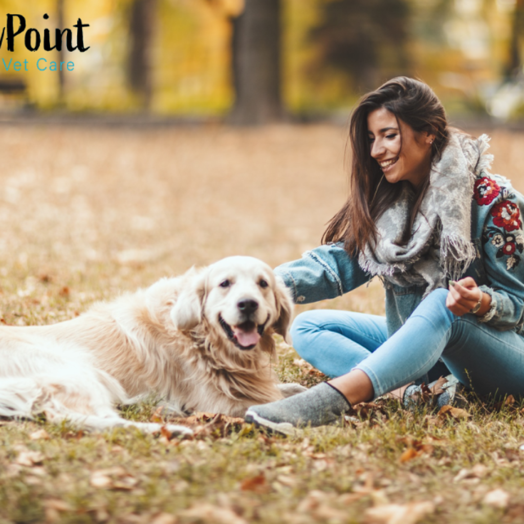 Compassionate at-home pet end-of-life care and guidance Compassionate at-home pet end-of-life care and guidance
