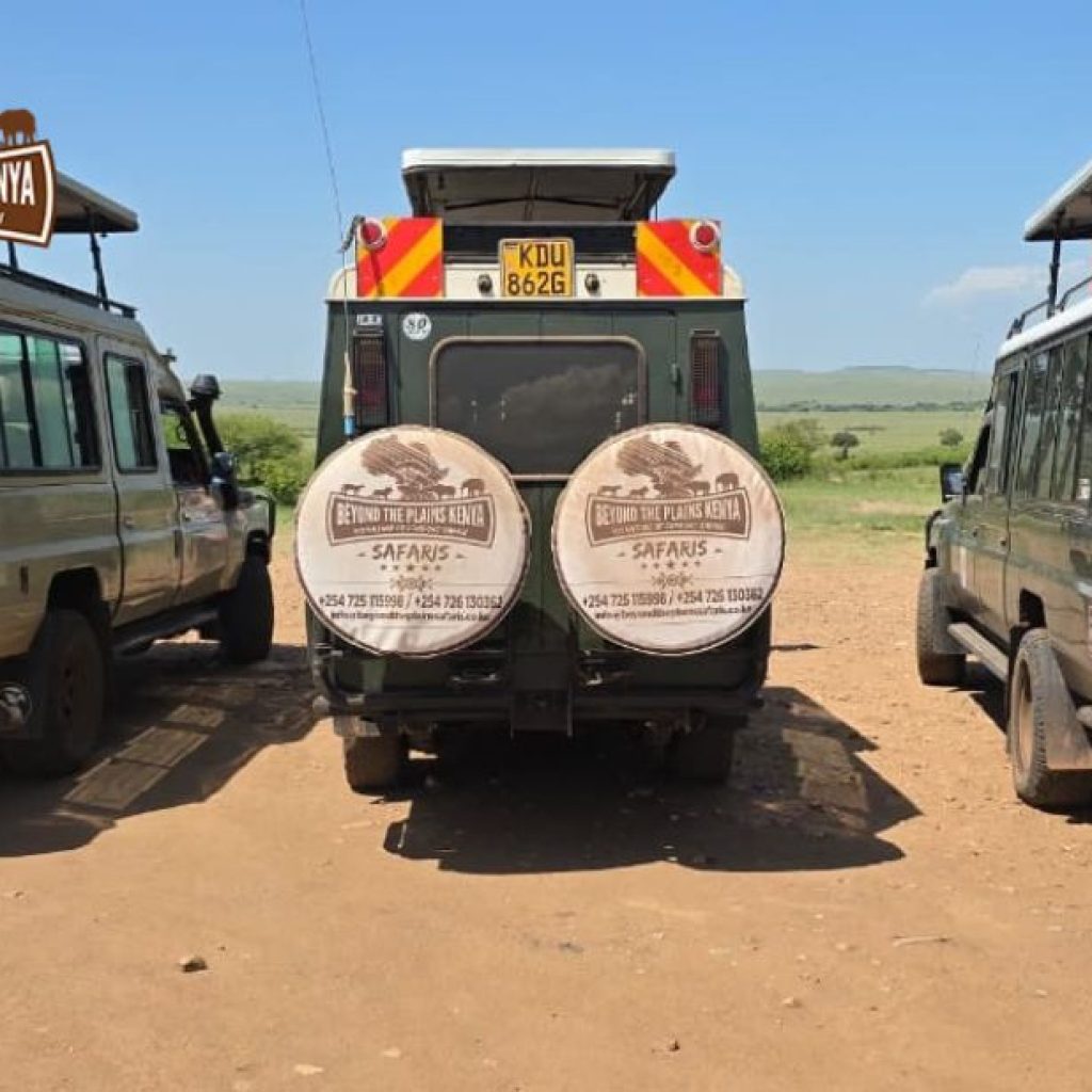Explore East Africa: Handcrafted Wildlife Adventures and Seamless Travel Explore East Africa: Handcrafted Wildlife Adventures and Seamless Travel