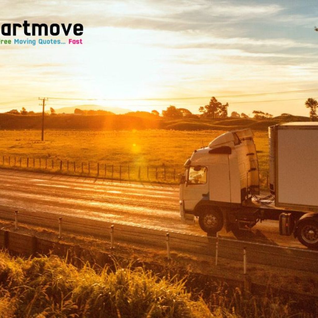 Trusted New Zealand Movers for a Smooth, Stress-Free Move Trusted New Zealand Movers for a Smooth, Stress-Free Move