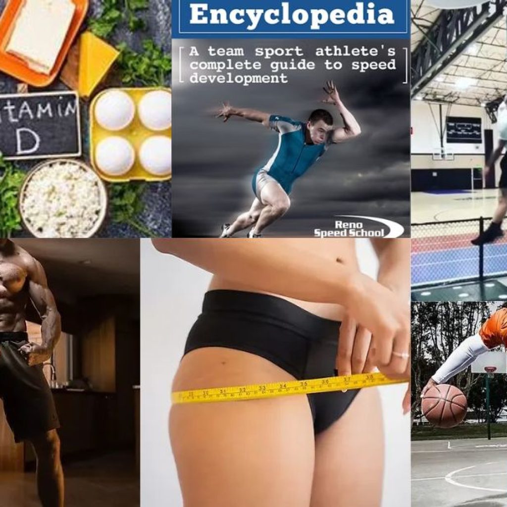 Top Training Plans to Transform Your Fitness This Year Top Training Plans to Transform Your Fitness This Year