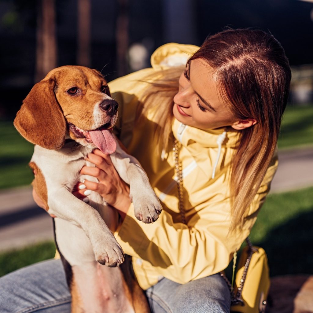 Compassionate Home Euthanasia Services in Calgary for Your Pet Compassionate Home Euthanasia Services in Calgary for Your Pet