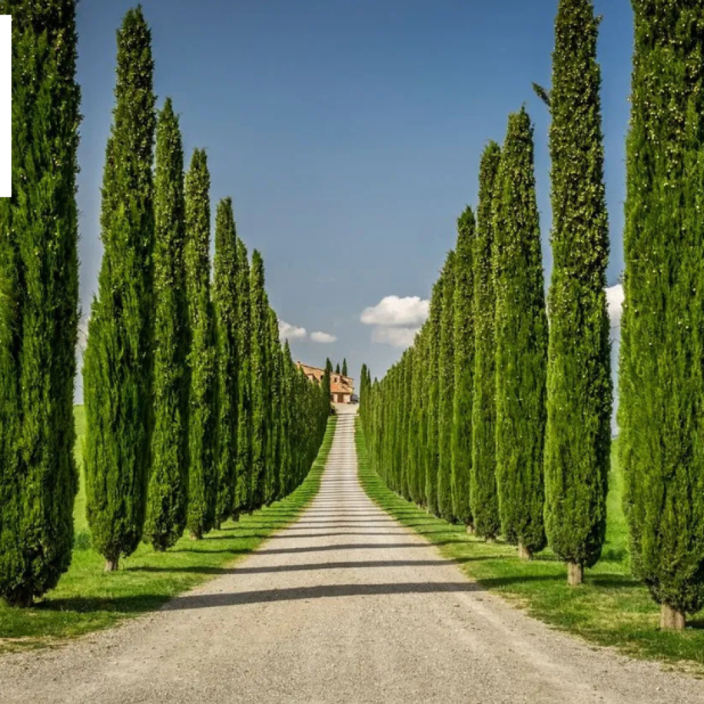 Elegantly Curated Lucca Retreats for Discerning Travelers Elegantly Curated Lucca Retreats for Discerning Travelers