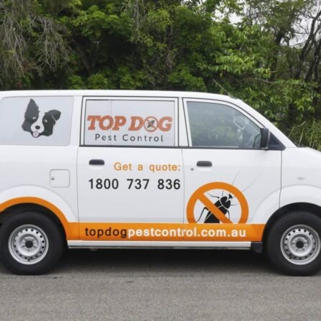 Trusted Pest Solutions for Nerang Homes and Businesses Trusted Pest Solutions for Nerang Homes and Businesses