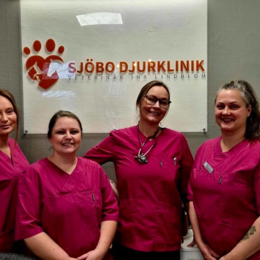 Säkra din hunds vaccinationer i Ystad – professionell vård när den behövs Säkra din hunds vaccinationer i Ystad – professionell vård när den behövs