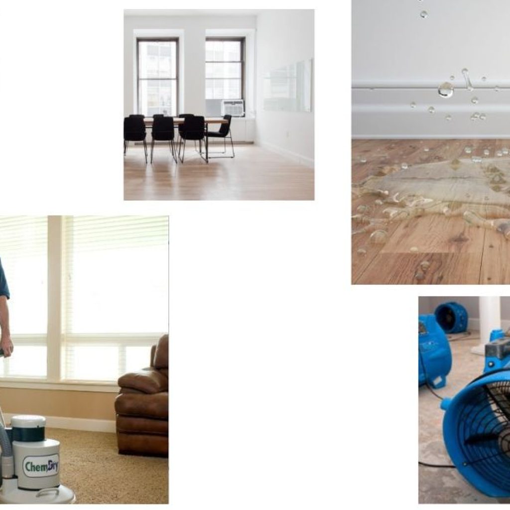 Advance Your Cleaning Tech Skills with Online IICRC Courses Advance Your Cleaning Tech Skills with Online IICRC Courses