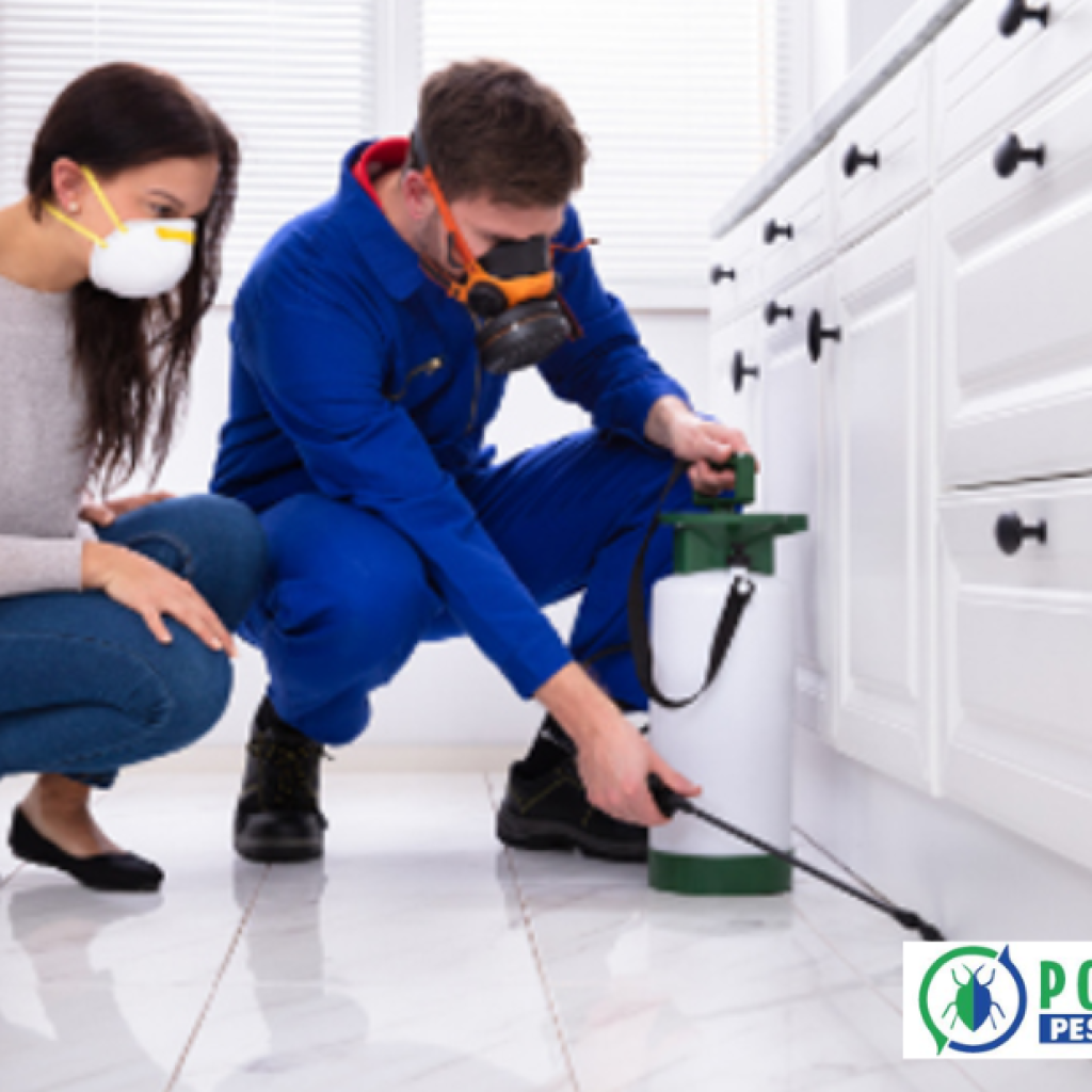 Trusted Pest Control Experts in Calgary for Homes and Businesses Trusted Pest Control Experts in Calgary for Homes and Businesses