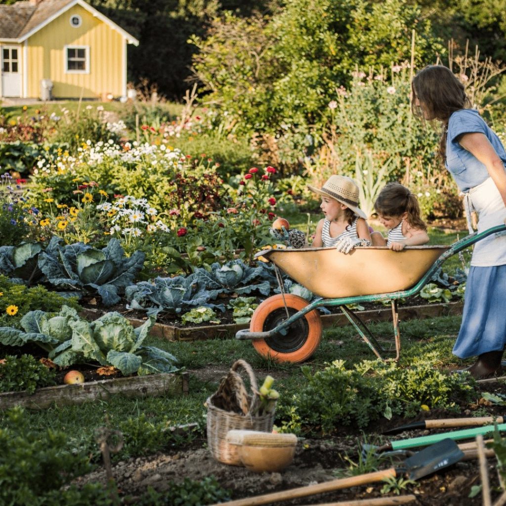 Cultivating a Simple Life: Homesteading in Washington State Cultivating a Simple Life: Homesteading in Washington State