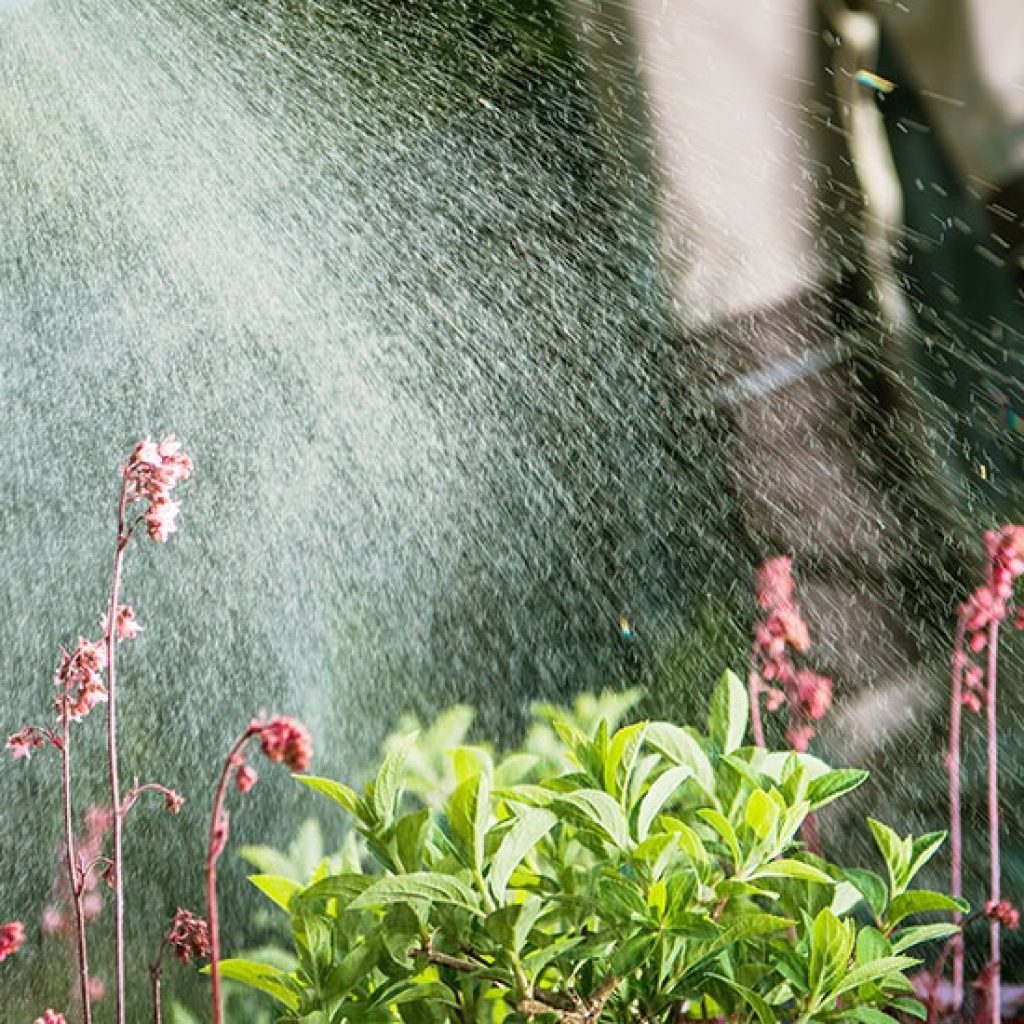 Tailored Lawn Fertiliser Plans for thriving turf Tailored Lawn Fertiliser Plans for thriving turf