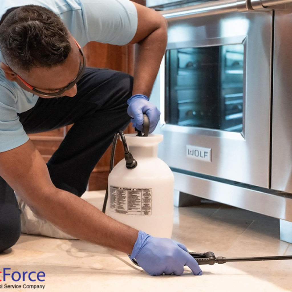 Protect Your Home with Local Pest Experts in Alberta Protect Your Home with Local Pest Experts in Alberta