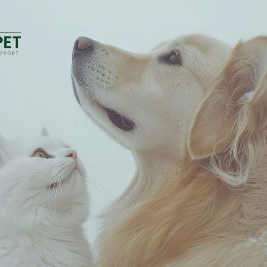 Support Your Dog’s Kidney Health Naturally and Safely