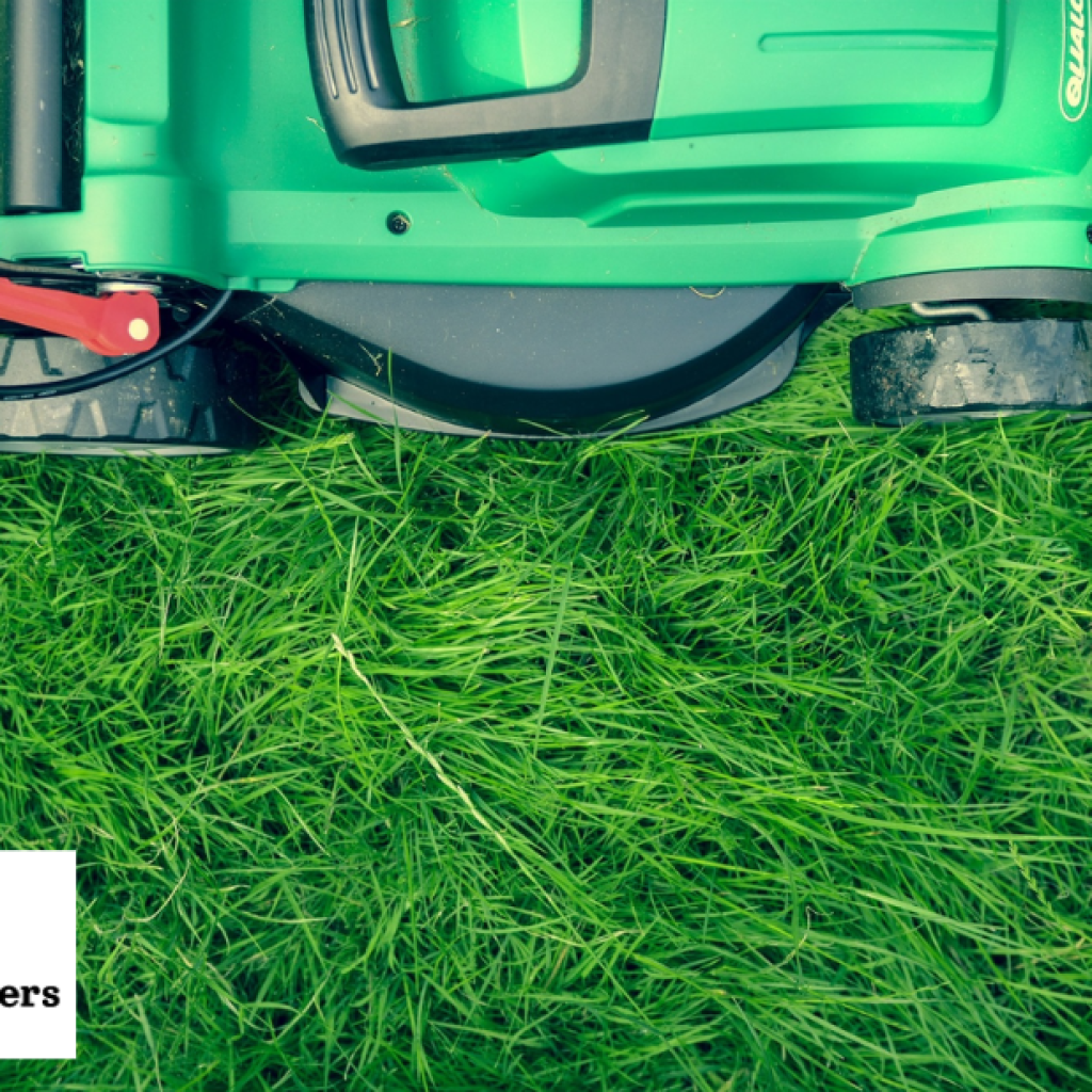 Weeding Landscaping Services That Transform Your Garden Weeding Landscaping Services That Transform Your Garden