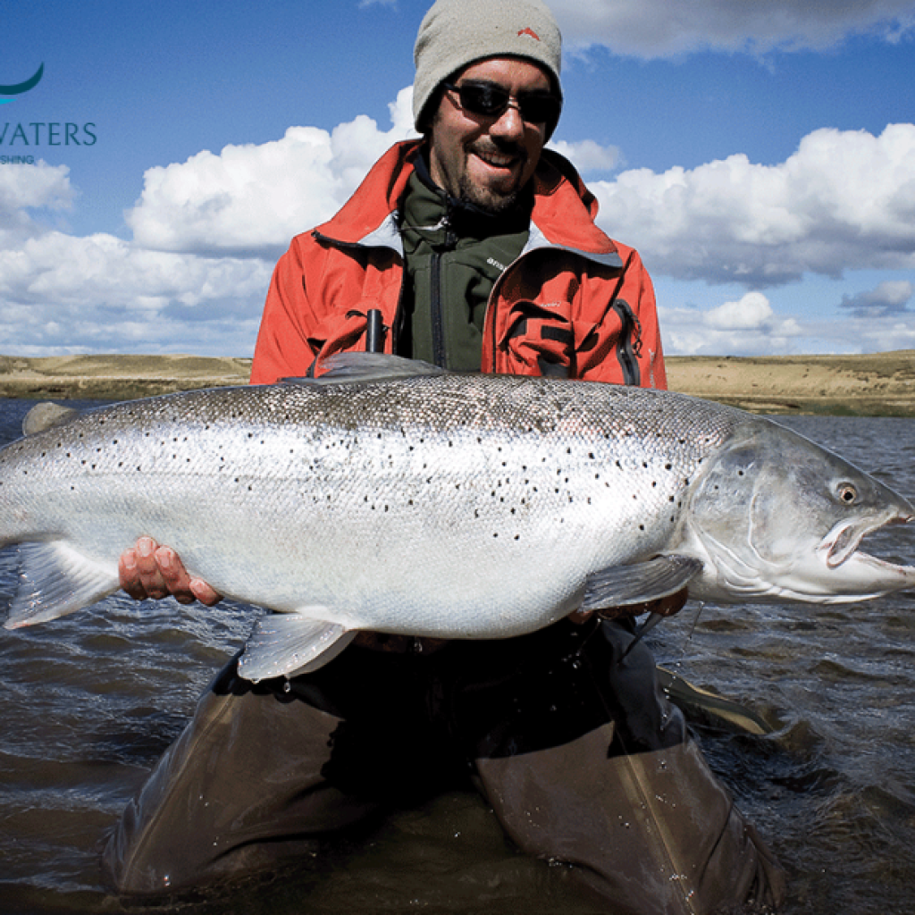 Chasing Golden Dorado: Premier Fly Fishing in Argentina Chasing Golden Dorado: Premier Fly Fishing in Argentina
