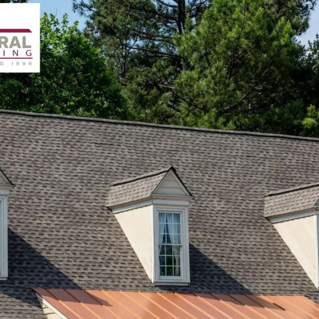 Premium Roof Services for Homes and Businesses