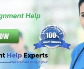 Accounting Assignment Help – Assignment Help Experts