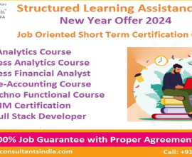 PG Program in Human Resource Management In Delhi, Gurgaon by Structured Learning Assistance – SLA HR and Payroll Institute in Noida, Updated [2024]
