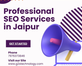 Jaipur’s Leading SEO Solutions: G2S Technology’s Professional Services