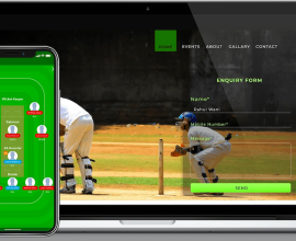 Cricket Live Line API: Real-Time Updates for Enthusiasts