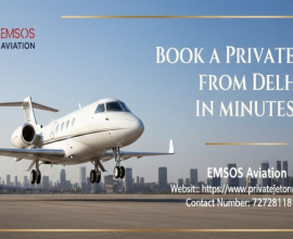 Premium Air Charter and Private Jet Rental in Delhi