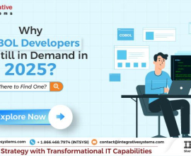 Hire Dedicated COBOL Programmers For Seamless Legacy System Support