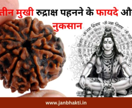 3 Mukhi Rudraksha ka Mahtva aur Fayde – Sampurn Jankari