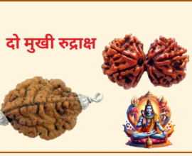 Unlock the Benefits of Do Mukhi Rudraksha for a Balanced Life