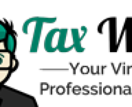 Simplify Your Pvt Ltd Company Registration with TaxWink