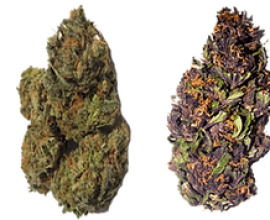 Buy Weed Online | Diamondreleafrx.com